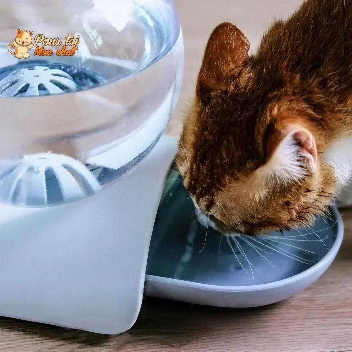 Fontaine à eau pour chat - Perfect Sphère Pour toi Mon chat