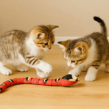 Jouet pour Chat - Serpent Interactif Pour toi Mon chat