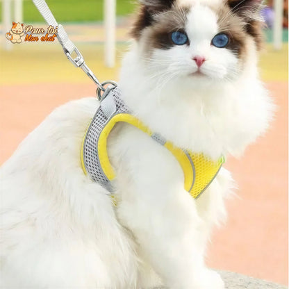 Ensemble de laisse et maille réglable pour chat Pour toi Mon chat