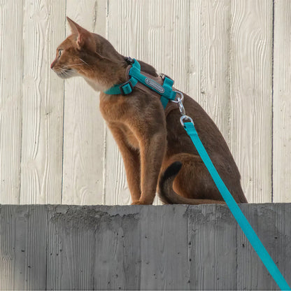 Harnais Chat Anti Fugue Léger et Réglable en Nylon et Cuir Pour toi Mon chat