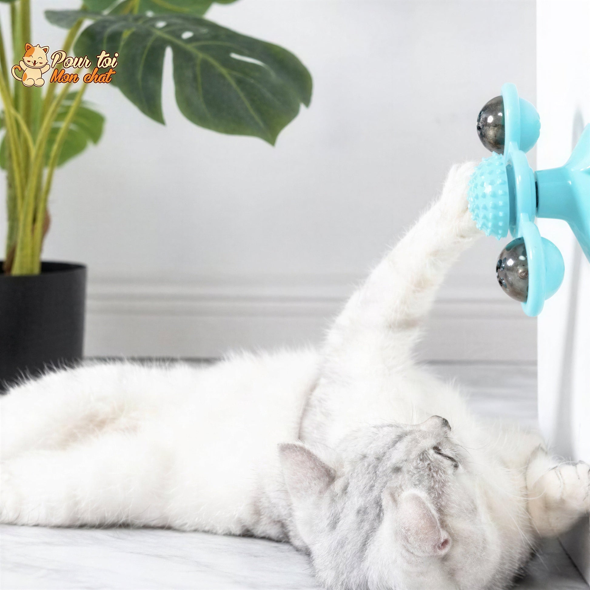 Jeu Mobile Tournant - Toupie'Cat™ Pour toi Mon chat
