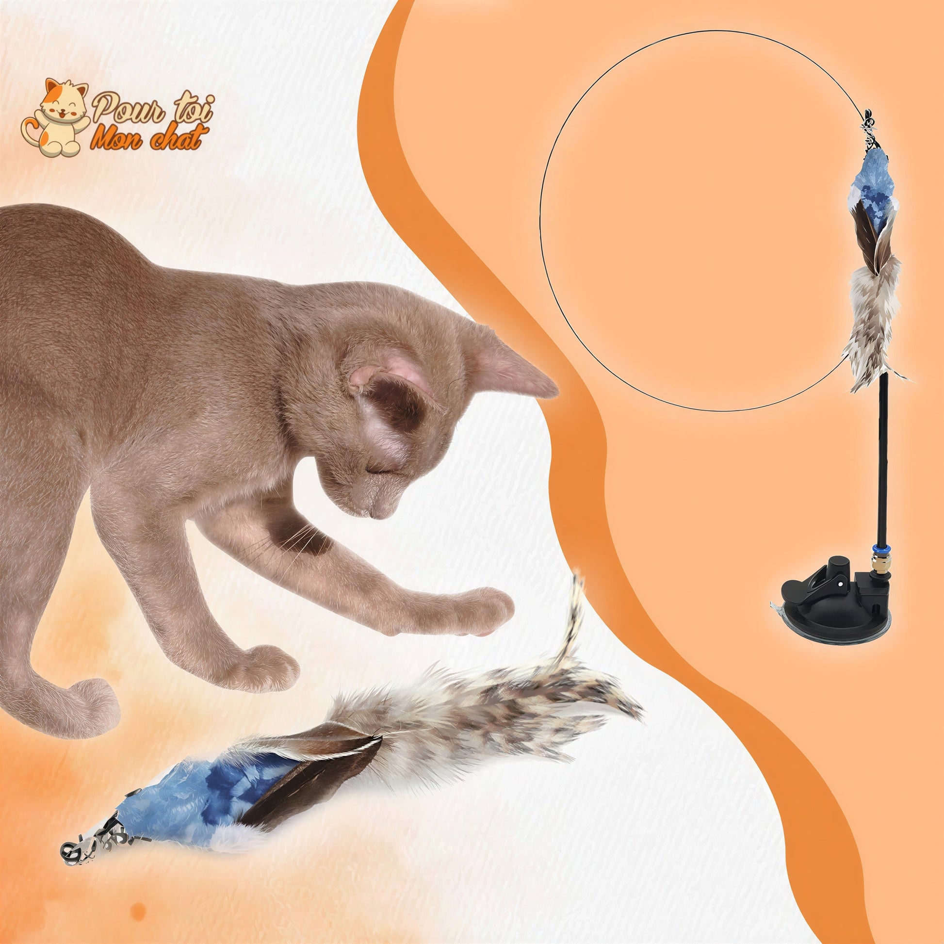Jouet pour Chat Interactif à Ventouse - Simulation d’Oiseau et Plumes Amovibles Pour toi Mon chat