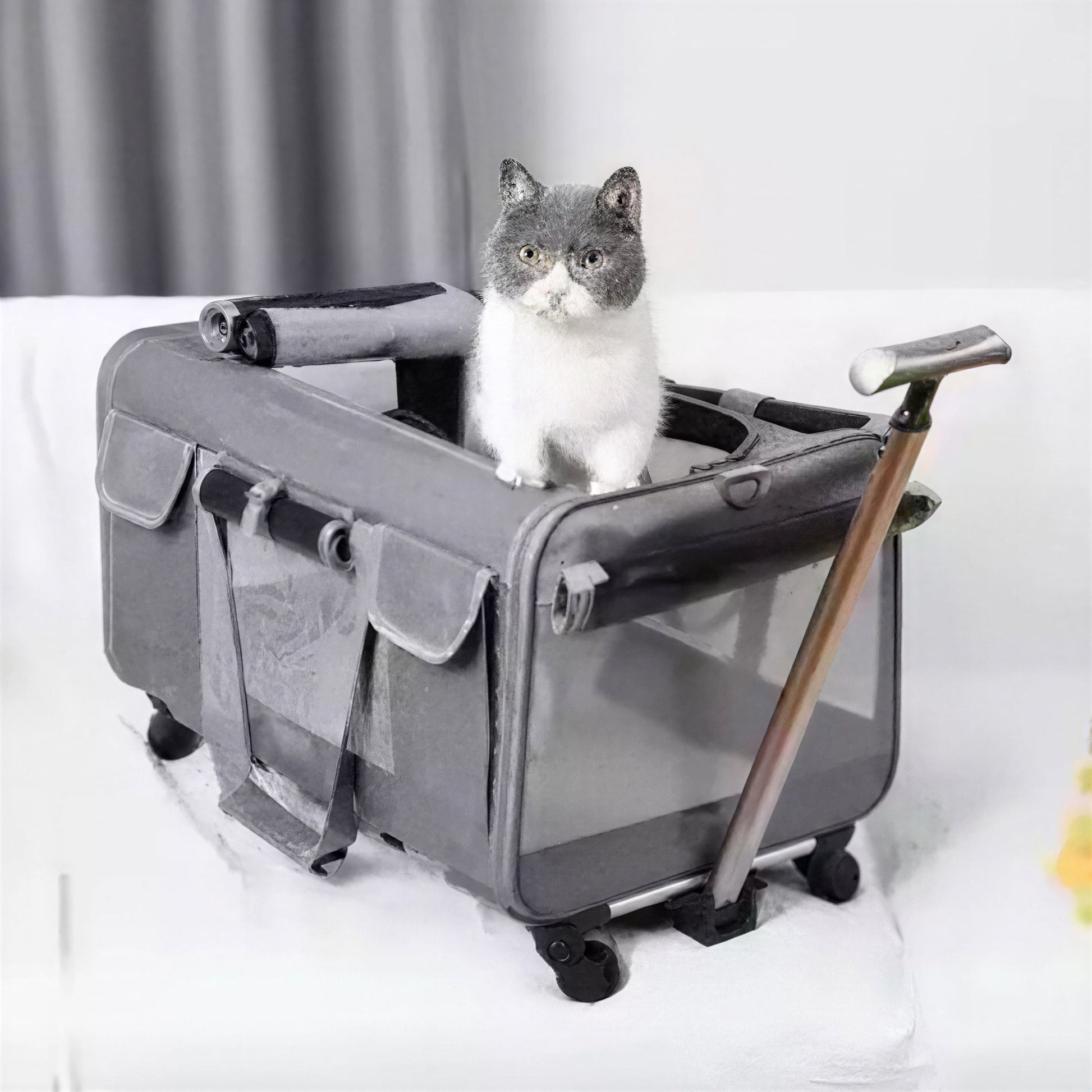 Poussette Chat Style Valise Respirante et Pliable Pour toi Mon chat