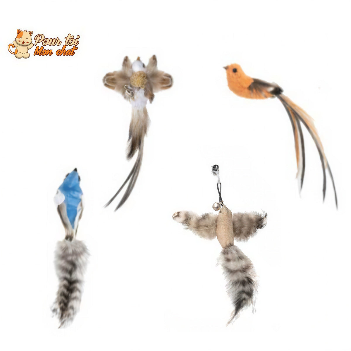 Jouet pour Chat Interactif à Ventouse - Simulation d’Oiseau et Plumes Amovibles Pour toi Mon chat