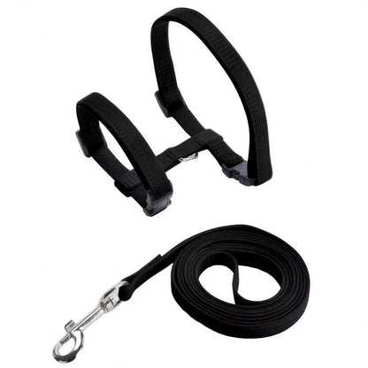Collier en nylon réglable pour chat Pour toi Mon chat