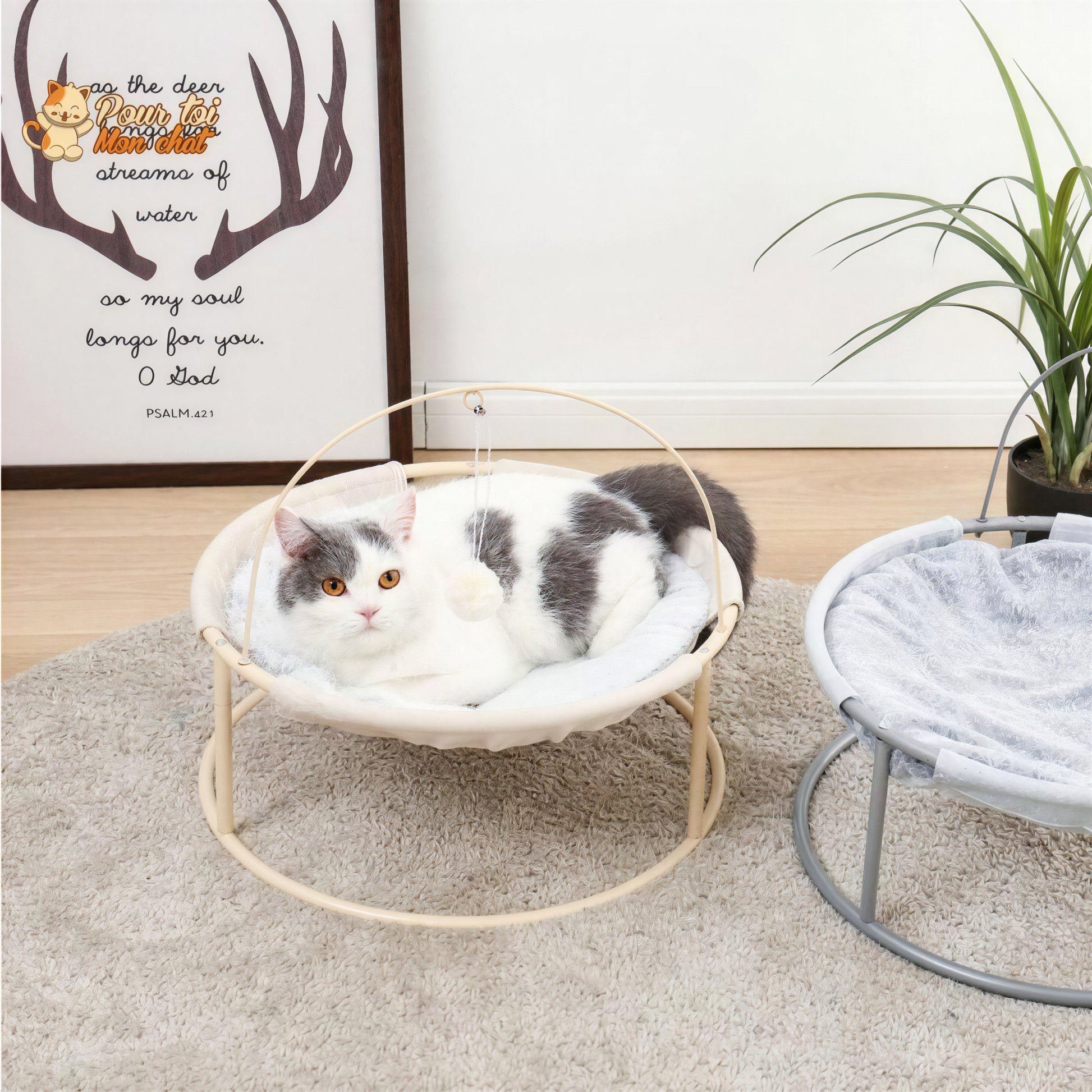 Panier Suspendu avec un Jouet - Hamac4cat™ Pour toi Mon chat