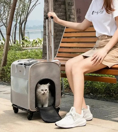 Sac portable télescopique à roulettes pour chat Pour toi Mon chat