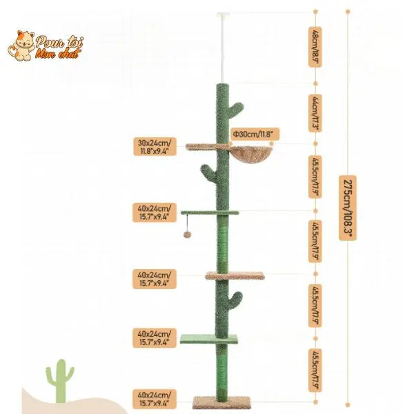 Arbre à chat cactus à cinq niveaux Pour toi Mon chat