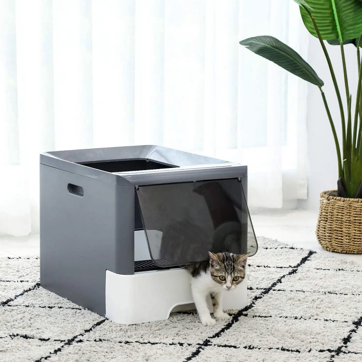Bac à litière avec pelle pour chat Pour toi Mon chat