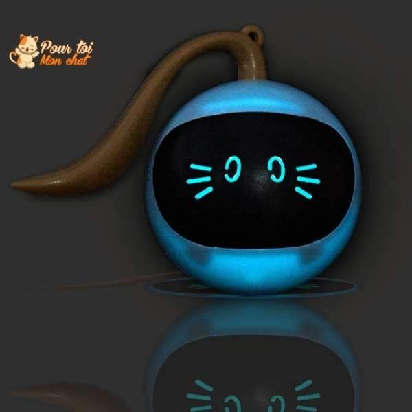 Balle Magique Lumineuse pour Chat - Catch'Cat™ - Pour toi Mon chat