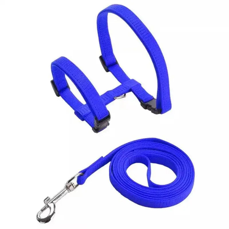 Collier en nylon réglable pour chat Pour toi Mon chat