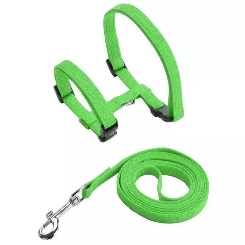 Collier en nylon réglable pour chat Pour toi Mon chat