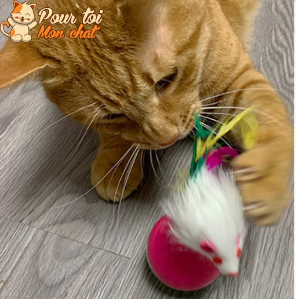 Balle culbuto avec souris - Souris'On'Ball™ - Pour toi Mon chat