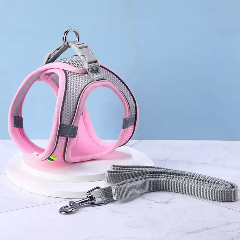Ensemble de laisse et maille réglable pour chat Pour toi Mon chat