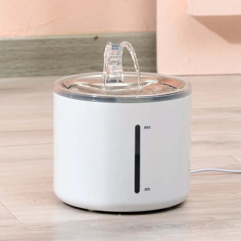 Fontaine automatique en acier inoxydable pour chat Pour toi Mon chat