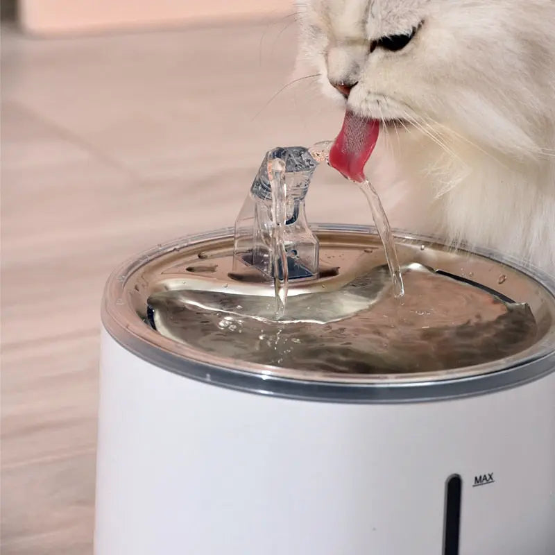 Fontaine automatique en acier inoxydable pour chat Pour toi Mon chat