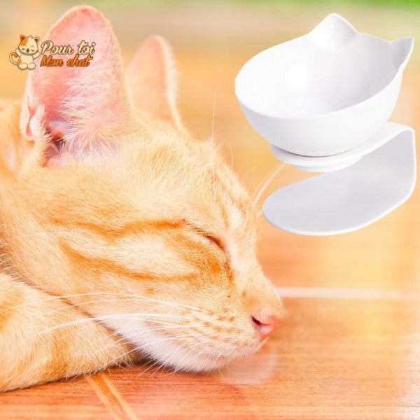 Gamelle Tête de Chat 2 en 1 - Cat'Twin'Bowl™ - Pour toi Mon chat