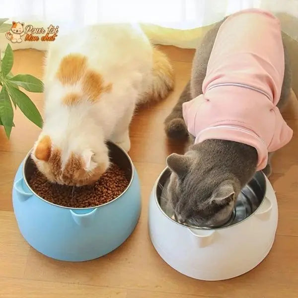 Gamelle Inclinée pour Chat - KittyBowl™ - Pour toi Mon chat