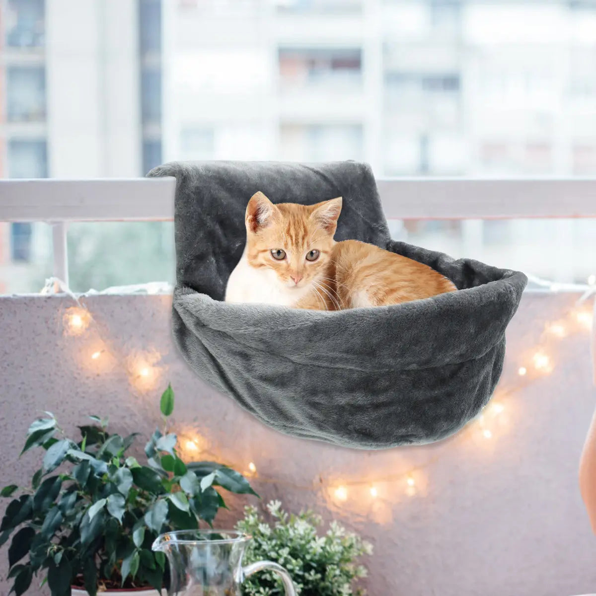 Hamac confortable pour chaton Pour toi Mon chat