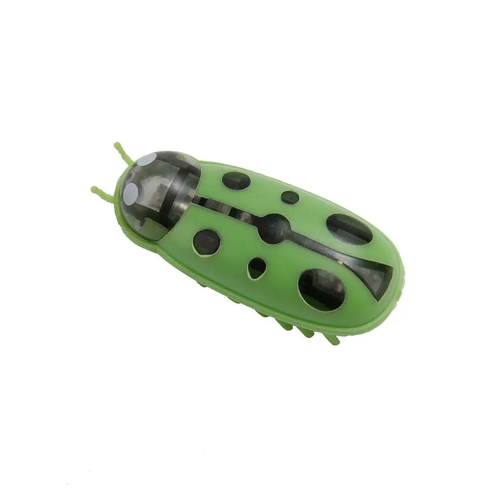 Jouet électrique interactif insecte pour chats Pour toi Mon chat