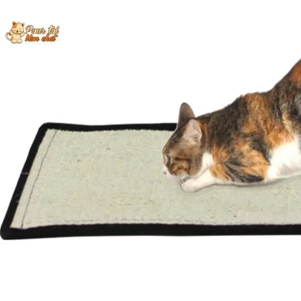 Tapis griffoir pour chat protecteur de meubles – Protec’Chat™ - Pour toi Mon chat