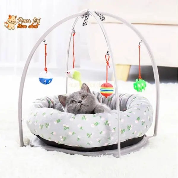 PANIER DE JEU LUDIQUE ET CONFORTABLE POUR CHAT - ARC4CAT™ - Pour toi Mon chat