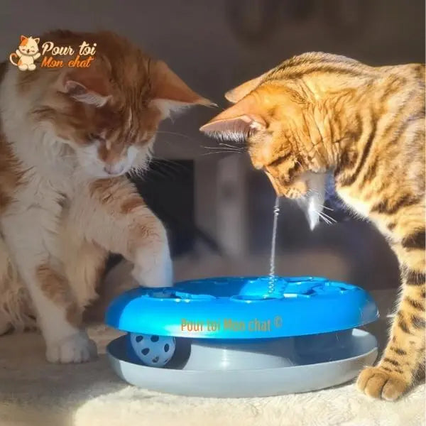 Jouet à balles et plumes : 2 jouets en 1 interactifs pour chat - Pilou-Pilou™ - Pour toi Mon chat