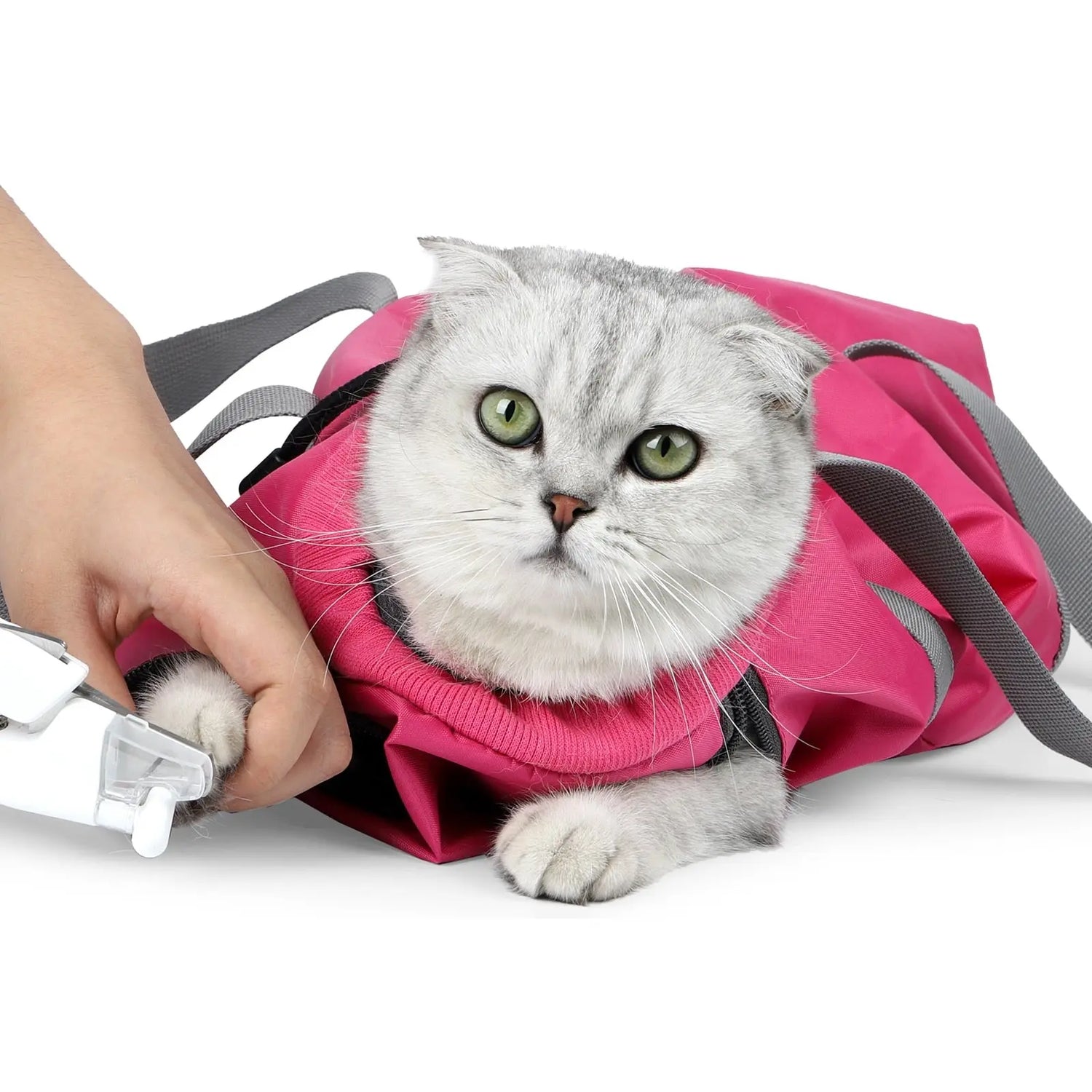 Sac de transport multifonctions pour chats Pour toi Mon chat