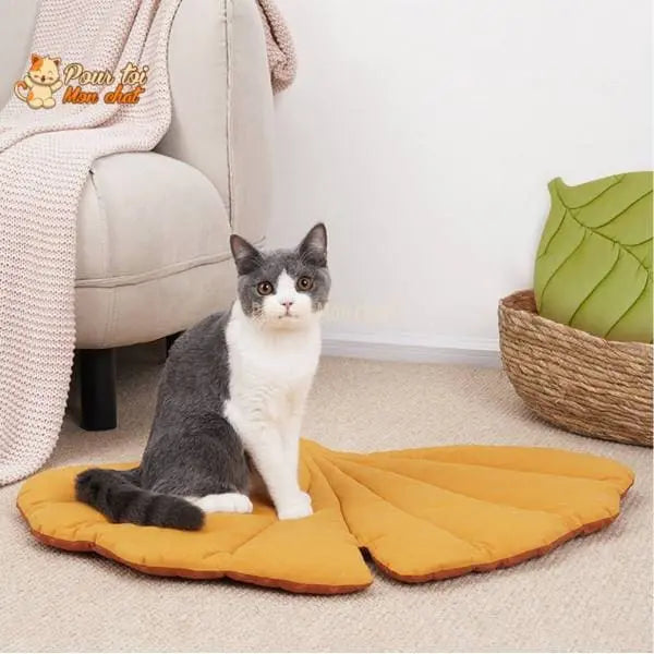TAPIS, LIT, COUSSIN DOUX EN FORME DE FEUILLE POUR CHAT – FEUILL’À’CHAT™ - Pour toi Mon chat