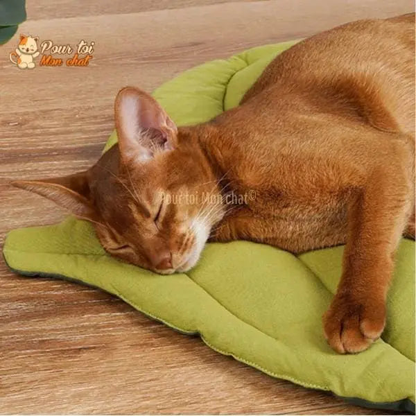 TAPIS, LIT, COUSSIN DOUX EN FORME DE FEUILLE POUR CHAT – FEUILL’À’CHAT™ - Pour toi Mon chat