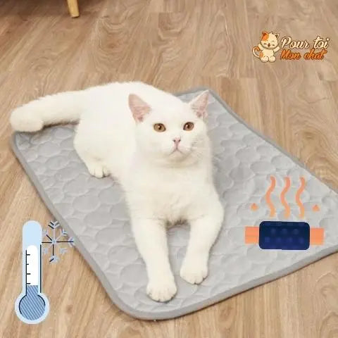 Tapis rafraîchissant & reposant - CHATauFrais™ - Pour toi Mon chat